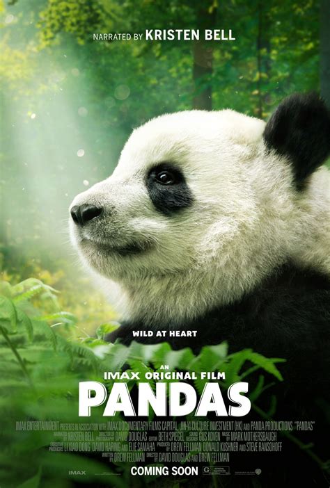 pandamovie|PandaMovies: Free Porn Videos.